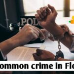 What Are the Most Common Crimes Defended in Florida?